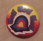MeltingTargetPin